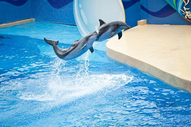 Ocean Park Full-Day Coach Tour with Hotel Pickup in Kowloon Area from Hong Kong - Aqua City and the Grand Aquarium