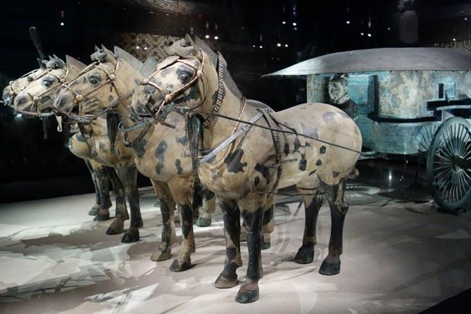 One Day Chengdu Xian Tour by Bullet Train - Meeting Your Xi’an Guide at the Passenger Service Center