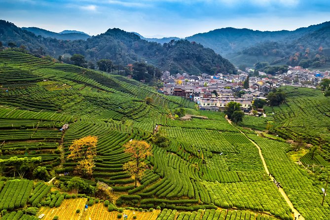 One-Day Hangzhou Dragon Well Tea Culture & West Lake Private Tour - Why this Hangzhou day works