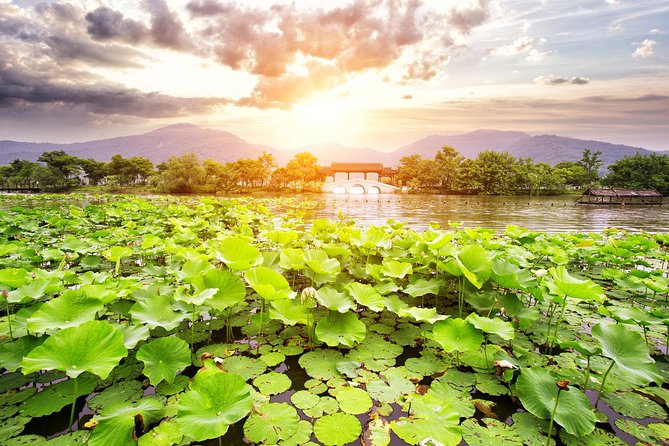 One-Day Hangzhou Dragon Well Tea Culture & West Lake Private Tour - Meijiawu Tea Village and the Dragon Well lesson