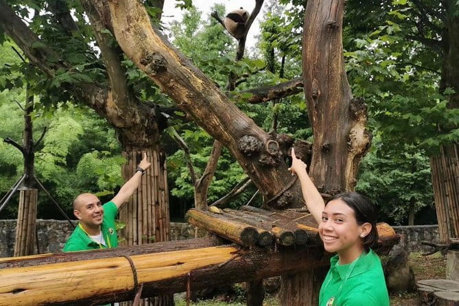 One Day Trip to Chengdu Panda Base and Leshan Buddha Tour - Is $93 a fair price?
