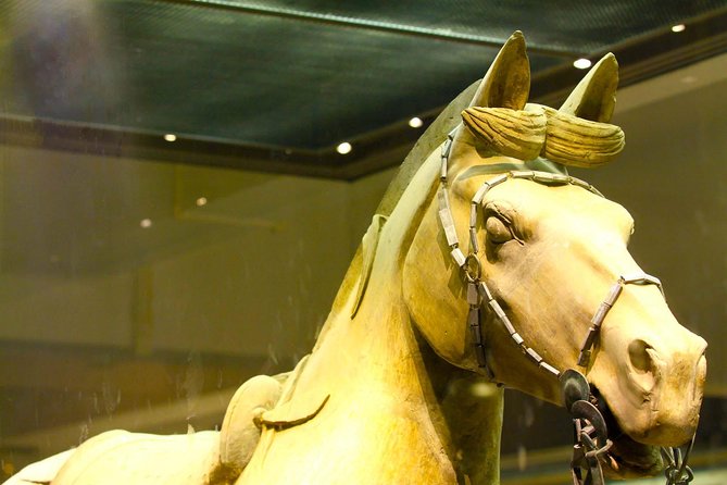 One Day Xian Private Tour: Warriors, City Wall, Everbright City - What the $135 price means