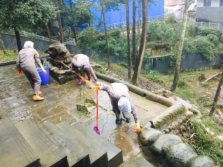 Panda Volunteer Project Day Trip(Wolong/Du Jiang Yan) - 9:00 at Dujiangyan Panda Base