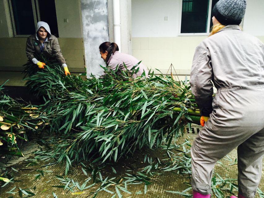 Panda Volunteer Project Day Trip(Wolong/Du Jiang Yan) - Who will get the most from this day
