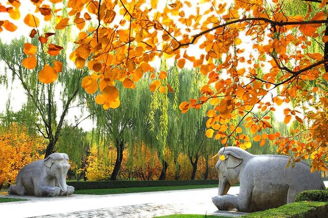 Private Beijing Day Trip: Mutianyu Great Wall and Ming Tombs - The 8:00 a.m. pickup and private drive