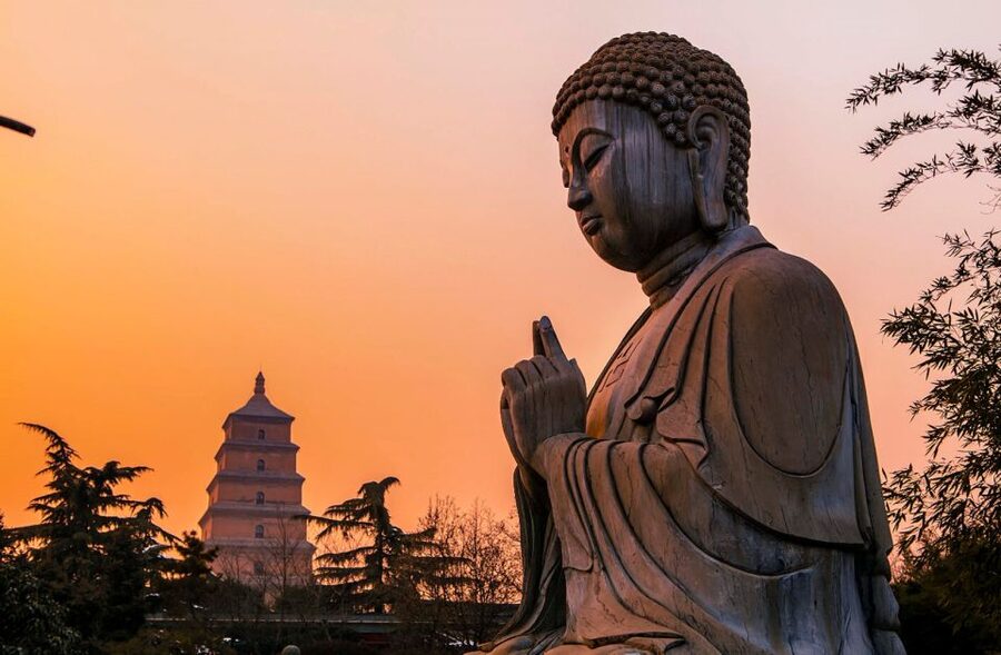 Private Big Wild Goose Pagoda Buddhism Walking Tour - What private really means here