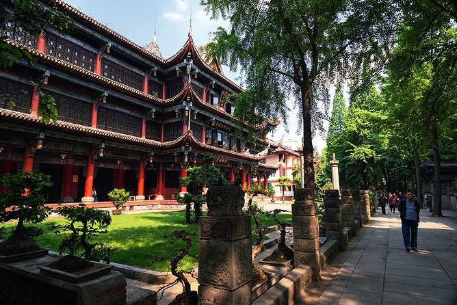 Private Chengdu Highlights Day Trip: Panda Base and City from Chongqing by Train - What the private guide adds