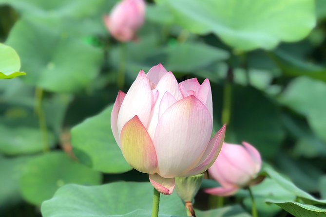 Private Customized Macau Day Tour from Hong Kong - A-Ma Temple and the beginnings of Macau