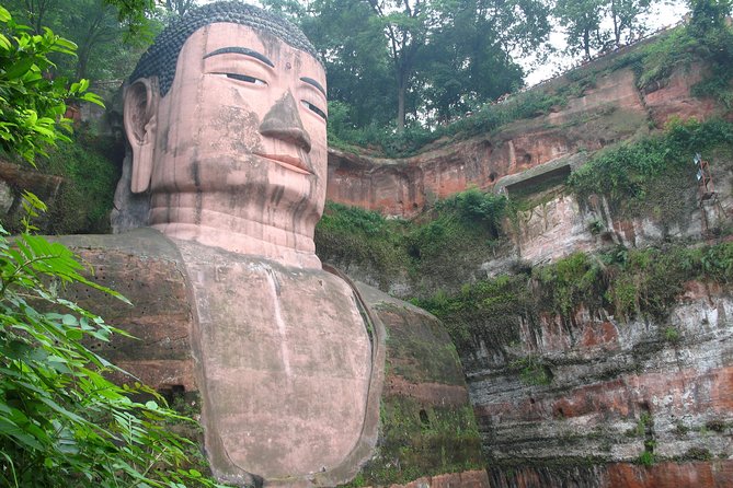 Private Day Tour: Chengdu Panda and Leshan Buddha - Starting early at the Chengdu Panda Base