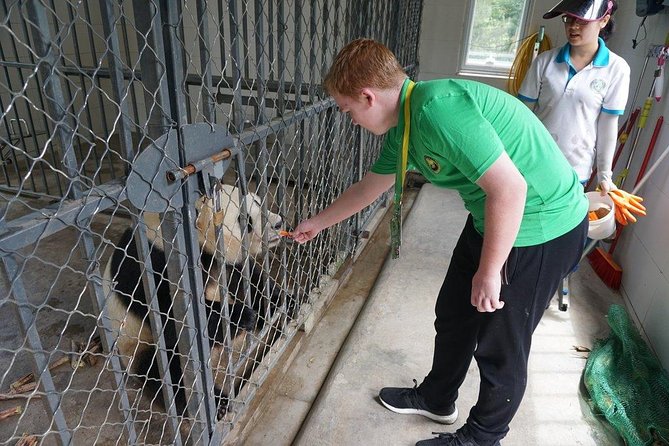 Private Day Tour: Dujiangyan Panda Base Volunteering from Chengdu - Leaving Chengdu at 7:00 am