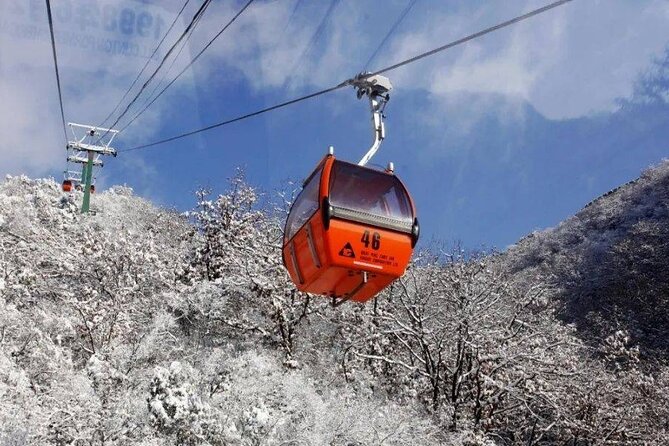 Private Day Tour to Beijing Mutianyu Great Wall - What the private guide adds