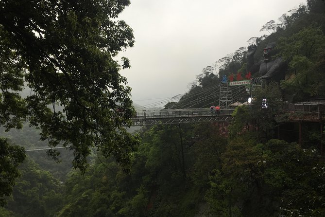 Private Day Tour to Gulong Canyon Glass Bridge from Guangzhou - The 520-meter glass walkway