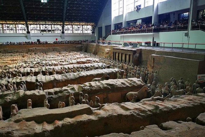 Private Day Tour:Xi'an Panda(QI ZAI) and Terracotta Warriors Museum - Transport, timing, and the value of $254