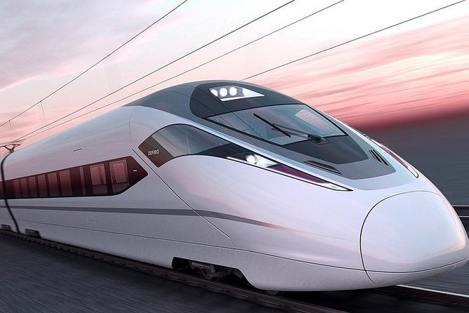 Private Day Trip: Discover Tianjin by Bullet Train from Beijing - Is $224 a fair price?