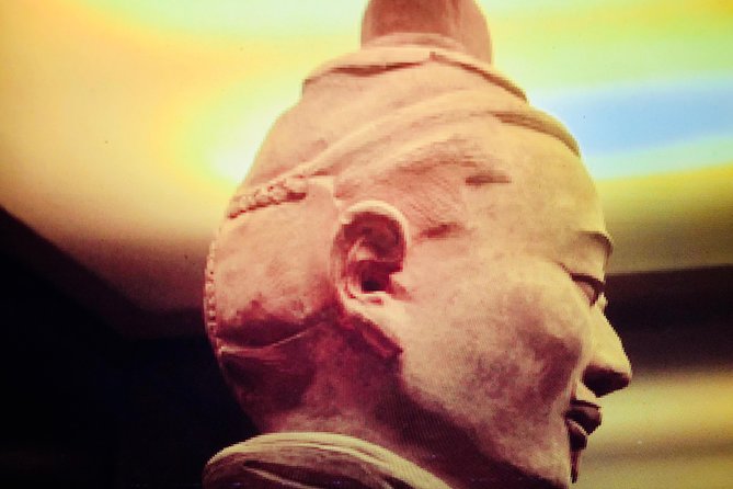 Private Day Trip to Terracotta Army from Beijing by Bullet Train - The bullet train to Xian