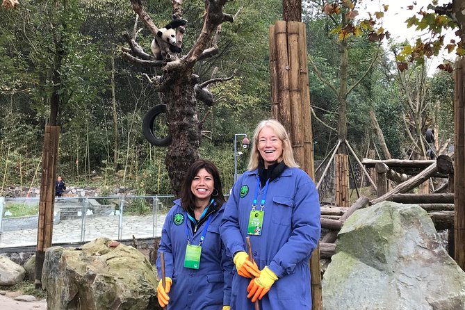 Private Dujiangyan Panda Base Panda Rescue Center Volunteer for a Day - Why this is more than a normal panda visit