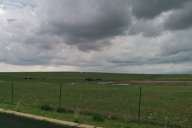Private Full-Day Tour to Huitengxile Grassland from Hohhot - Four hours among grass, animals, and yurts