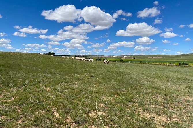 Private Full-Day Tour to Huitengxile Grassland from Hohhot - Huanghua Valley adds rocks and relief