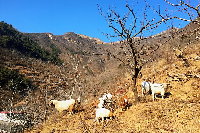 Private Great Wall Hiking Tour: Across The Border of 3 China Provinces - Sanjiebei and the meaning of the boundary point