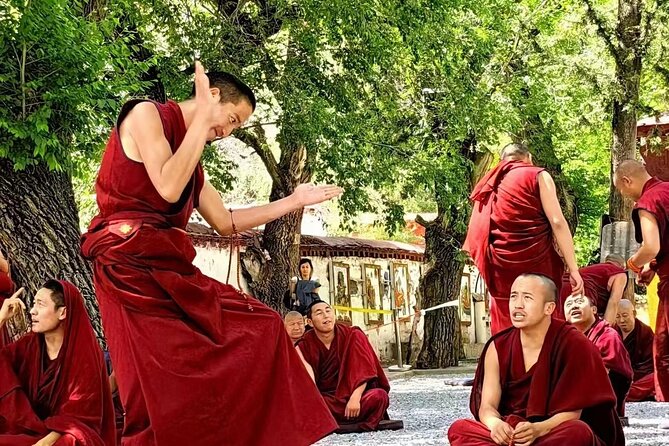 Private Guided Day Tour Potala Palace and Sera Monastery - Final verdict: a strong private introduction, at a premium price