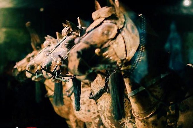 Private Half-Day Tour of Xi'an Terracotta Warriors - The Tang Dynasty show and dumpling banquet