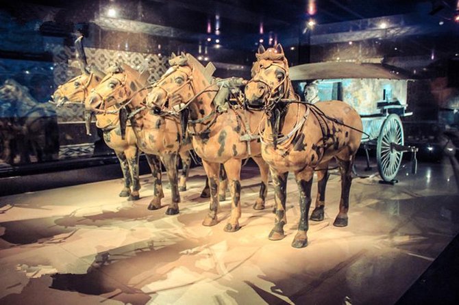 Private Half-Day Tour of Xi'an Terracotta Warriors - Hotel pickup makes the distant museum easier