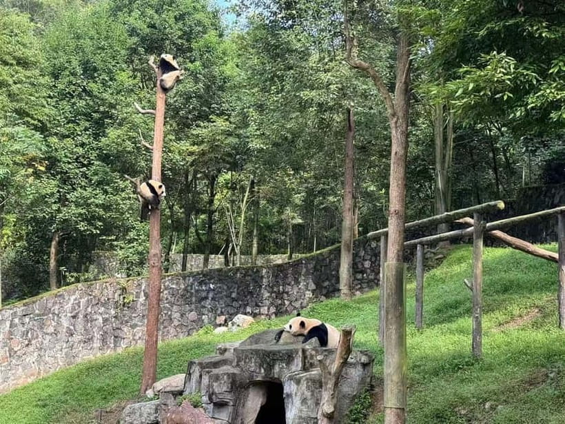 Private Half-Day Tour to Chengdu Panda Base - Preparing food for the red pandas