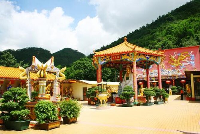 Private Half-Day Walking Tour of the New Territories Region in Hong Kong - Key points to know before you book