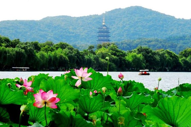 Private Hangzhou Day Tour from Shanghai by Bullet Train - Key points to know before you book