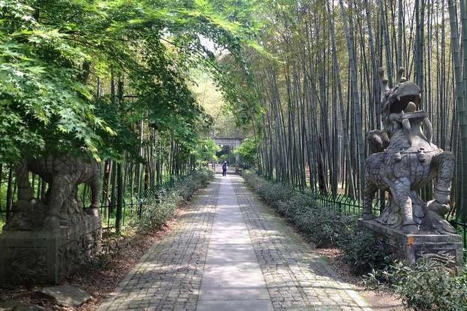 Private Hangzhou Day Tour from Shanghai by Bullet Train - Longjing village and the tea fields
