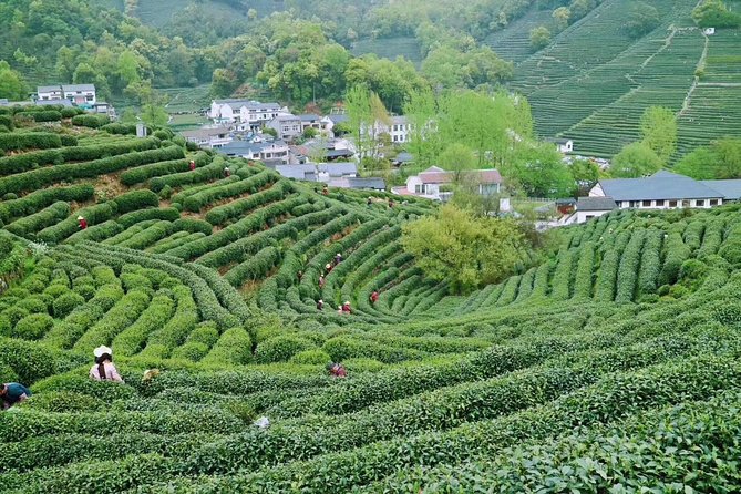 Private Hangzhou Day Tour from Shanghai by Bullet Train - West Lake by boat