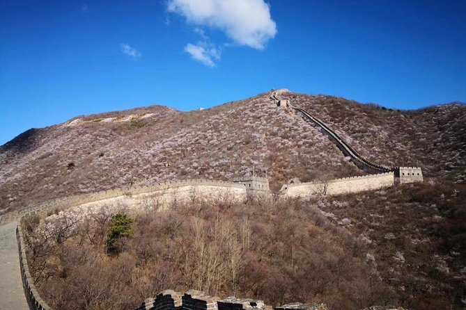 Private Layover Tour to Mutianyu Great Wall and Forbidden City - Timing, airport risk, and who should book