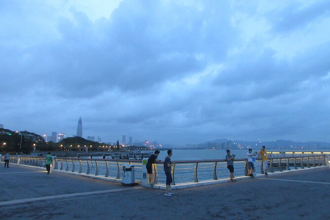 Private Shenzhen Evening Tour With Shenzhen Top Scenic Spots - Why this five-hour night tour works