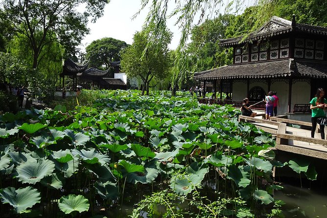 Private Suzhou Day Tour from Shanghai to Classical Gardens and Tongli Water Town - Who will enjoy this day most?