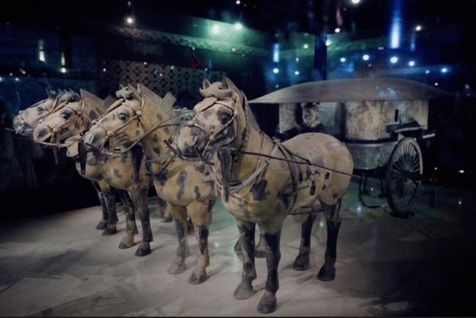 Private Tour Guide or Transfer for Terracotta Warriors and Xi'an - Xi’an City Wall for broad views and a sense of scale