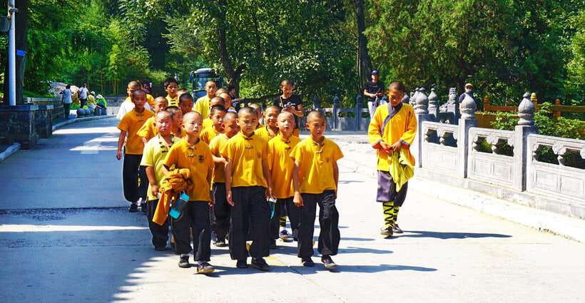 Private Tour: Longmen Grottoes, Shaolin Temple & Kungfu Show - Key points to know before you book