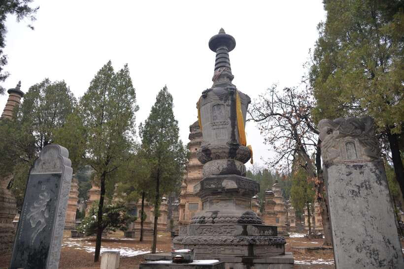 Private Tour: Longmen Grottoes, Shaolin Temple & Kungfu Show - The value of $158 per person