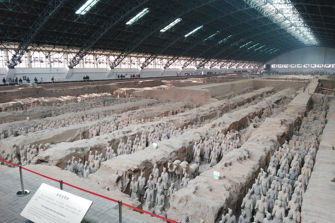 Private Tour: Terracotta Army Museum and Xi'an City Highlights - Walking Xi’an’s old city wall