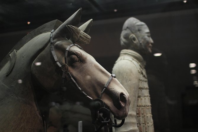 Private Tour: Terracotta Warriors& Foodie Tour and Seal Carving - The Terracotta Warriors are worth the early start