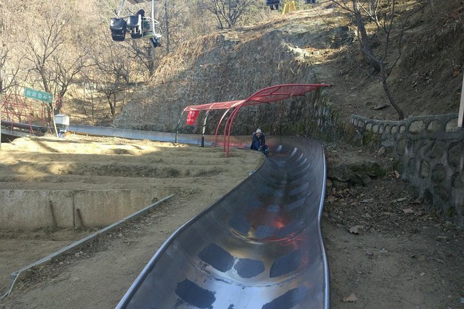 Private Tour to Mutianyu Great Wall Lift Way Up & Toboggan Down - Views, watchtowers, and taking better photographs
