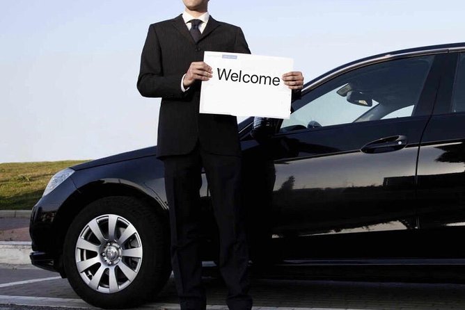 Private Transfer between Shanghai Disneyland and City Hotel - What the service does well