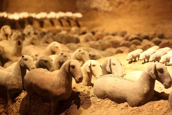 Private Xi'an Tour: Terracotta Warriors, Hanyangling Museum, Cave Homes - Why this Xi’an day works so well