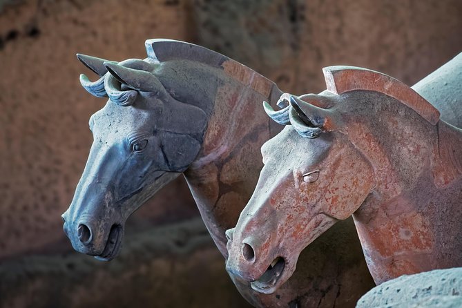 Private Xi'an Tour: Terracotta Warriors, Hanyangling Museum, Cave Homes - Guides, communication, and the small service details