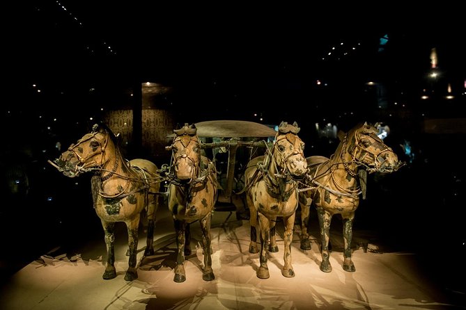 Private Xian Day Tour: Terracotta Warriors, Big Wild Goose Pagoda - Timing, walking, and family suitability