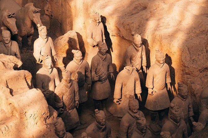Private Xian Day Tour: Terracotta Warriors, Big Wild Goose Pagoda - Watch for the factory or shopping stop