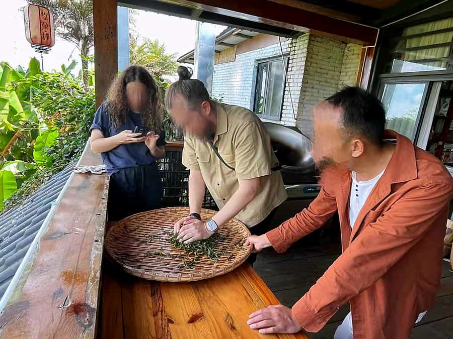 Puer Tea Picking and Tasting | 6 Hour Morning Trip - A quiet road from Jinghong or Pu’er