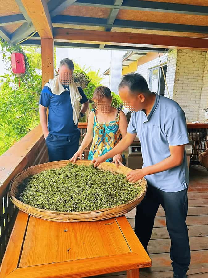 Puer Tea Picking and Tasting | 6 Hour Morning Trip - Should you book the Pu’er tea experience?