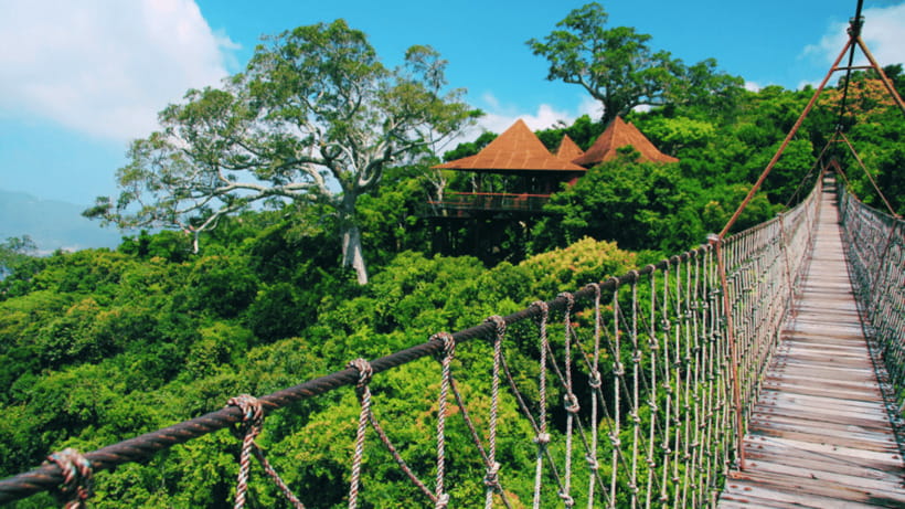 Sanya: Yalong Bay Tropical Forest Ticket and Tour Car - Key points to know before you go