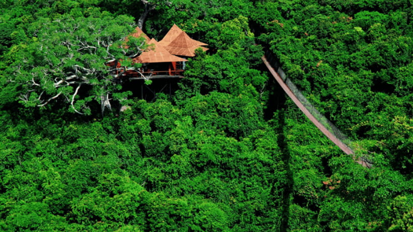 Sanya: Yalong Bay Tropical Forest Ticket and Tour Car - Scenic platforms above Yalong Bay