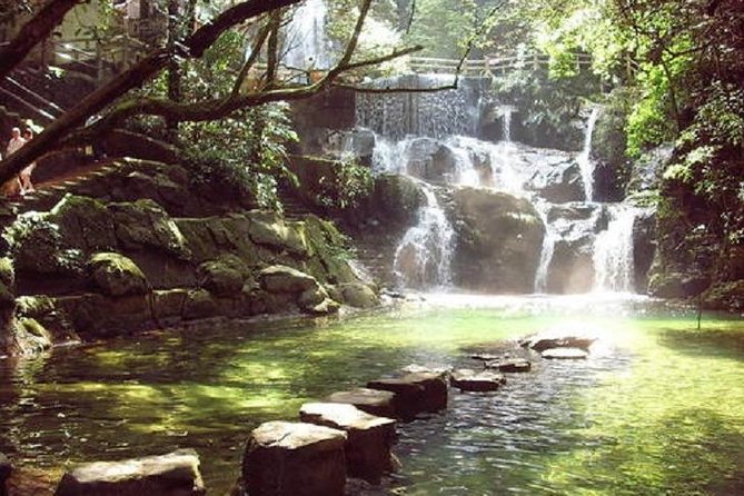 Seven Star Crag and Dinghu Mountain private day tour from Guangzhou - What the private format adds